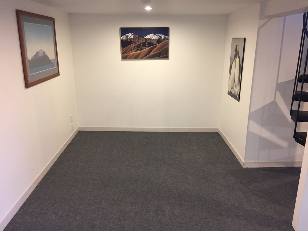 light grey carpet installed in a basement 
