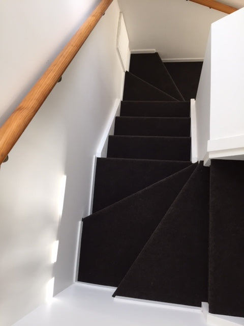 stair case with garage carpet