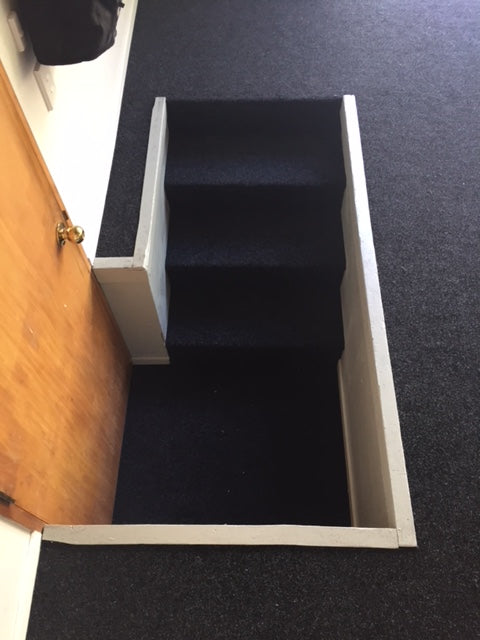 garage and stairs carpeted in Auckland
