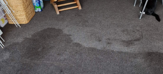 Why don't we extend our garage carpet outside of the garage door or over the front edge of the concrete? Affordable Garage Carpet NZ