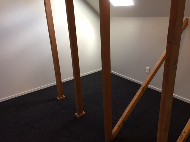 Attic space conveted into a room with charcoal garage carpet 
