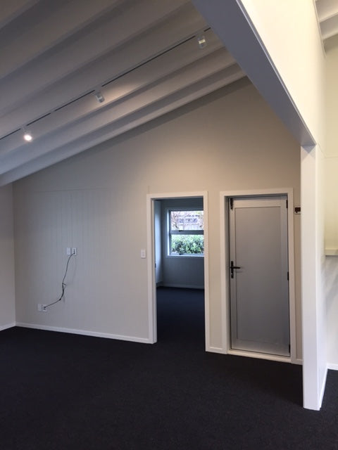 renovated room with garage carpet