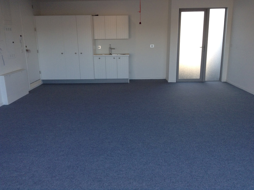 Show Home with garage carpet 