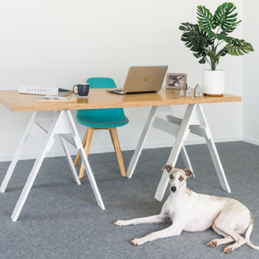 Whippet dog laying on Slate garage carpet