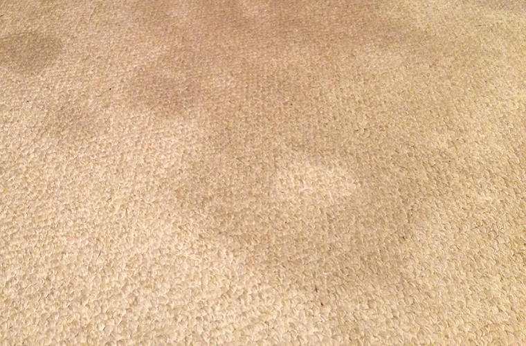 Existing Carpet 